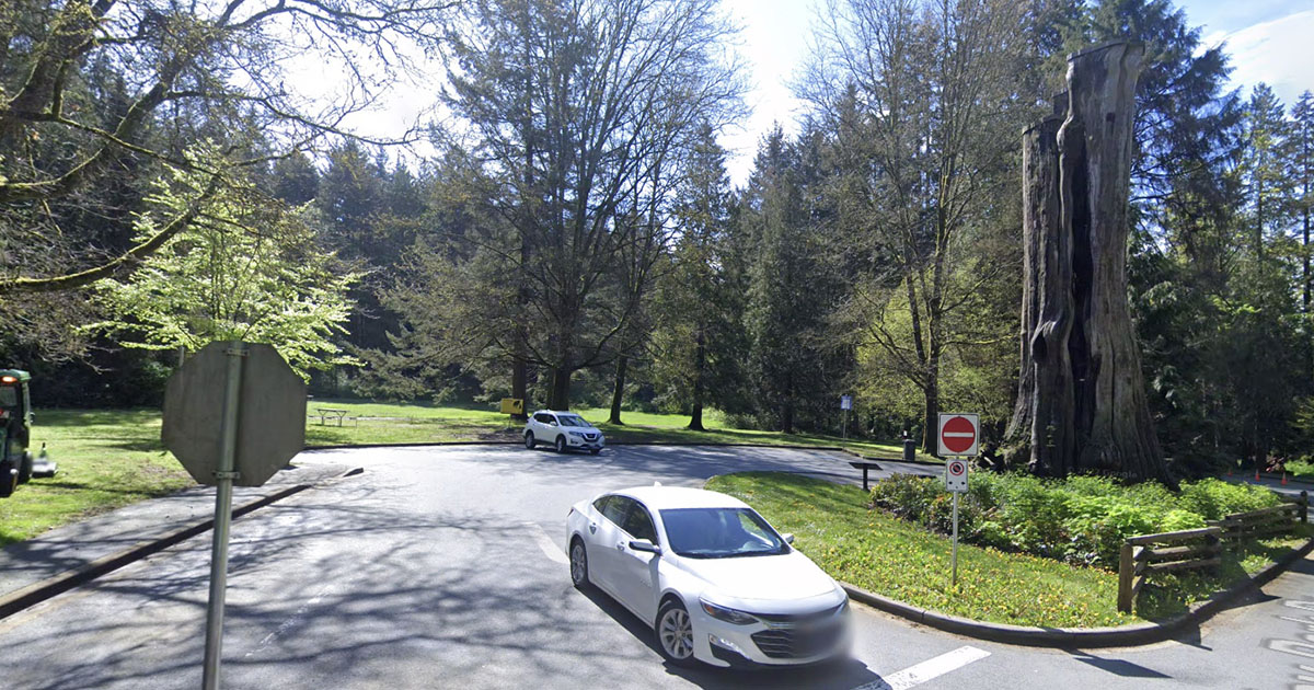 Hollow Tree Parking Lot
